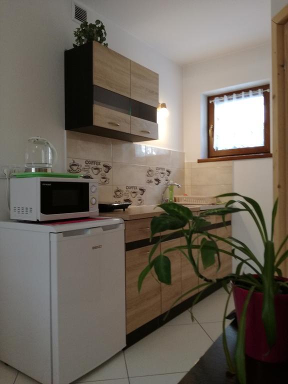 Apartamenty U Samkow Zakopane Kültér fotó